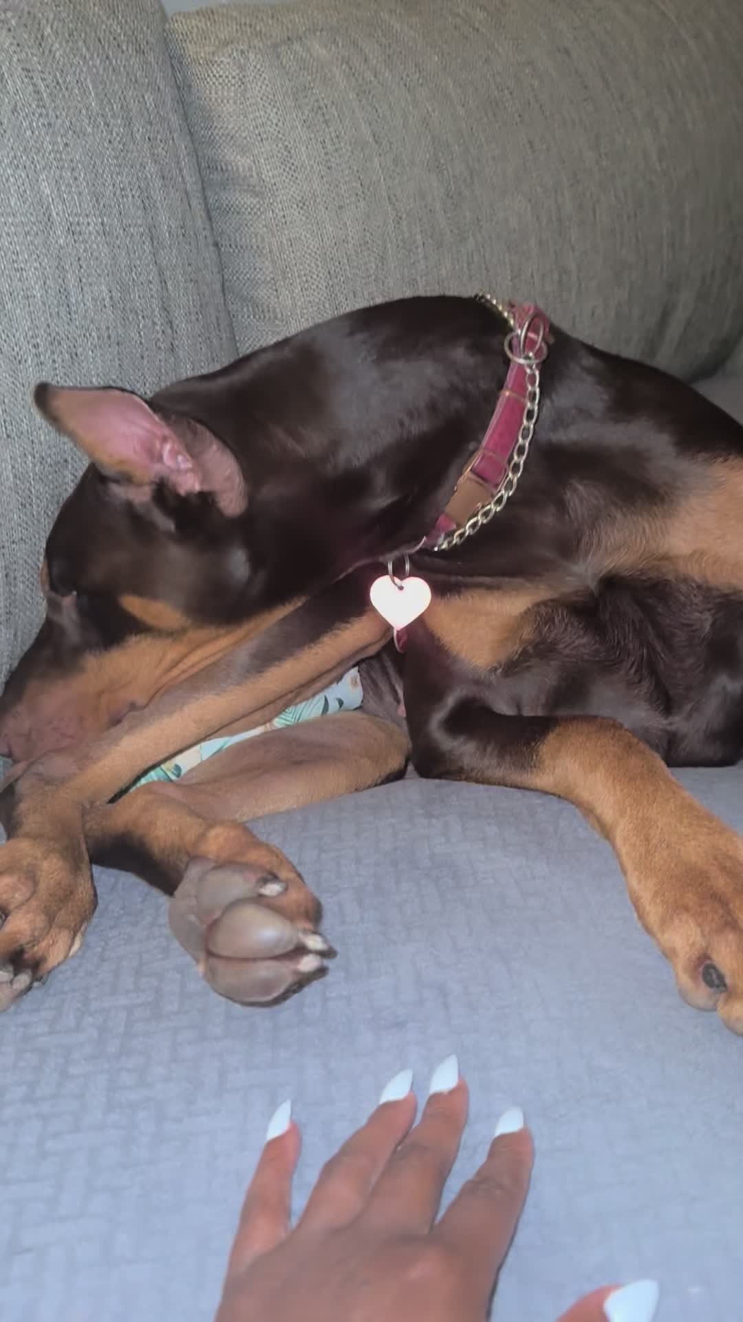@ShantitheDobie