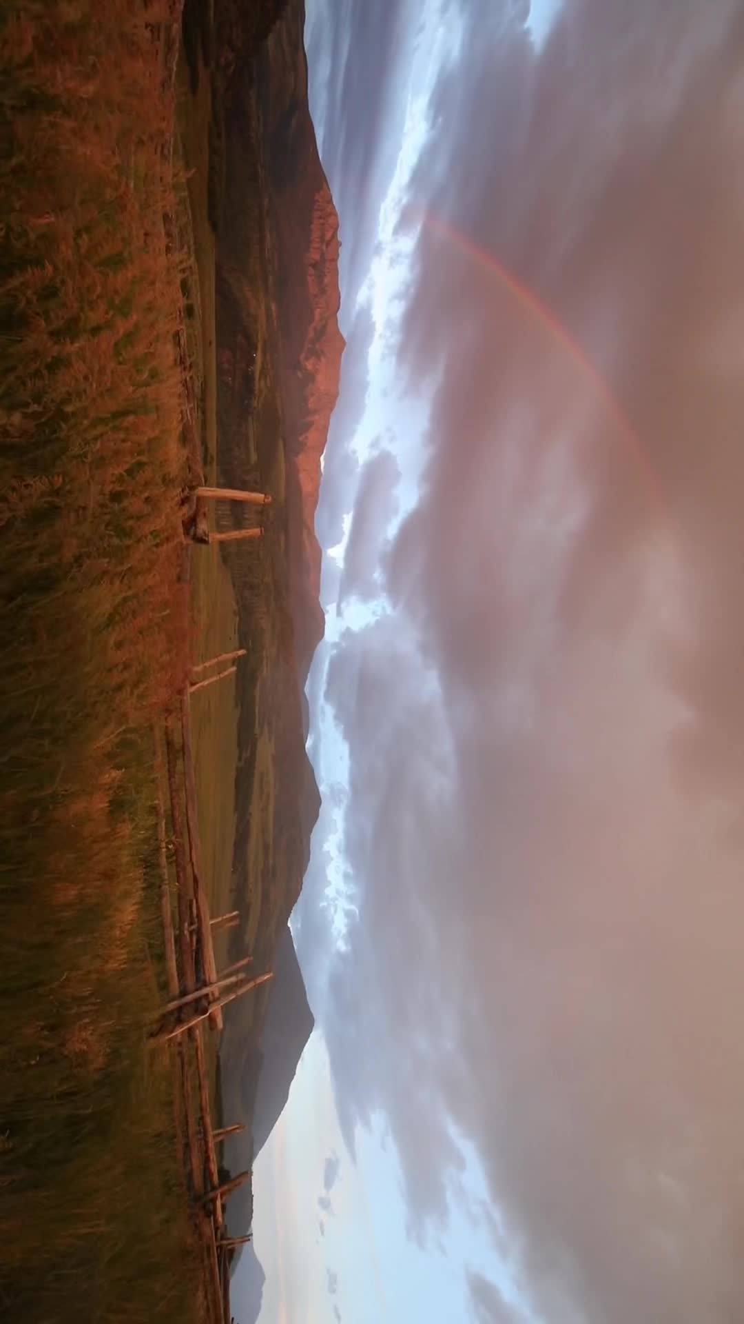 @_wilder._