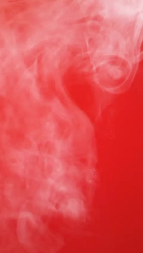 @tiktok lovrs