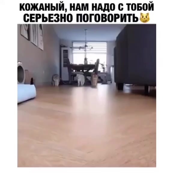 @Денис Никифоров
