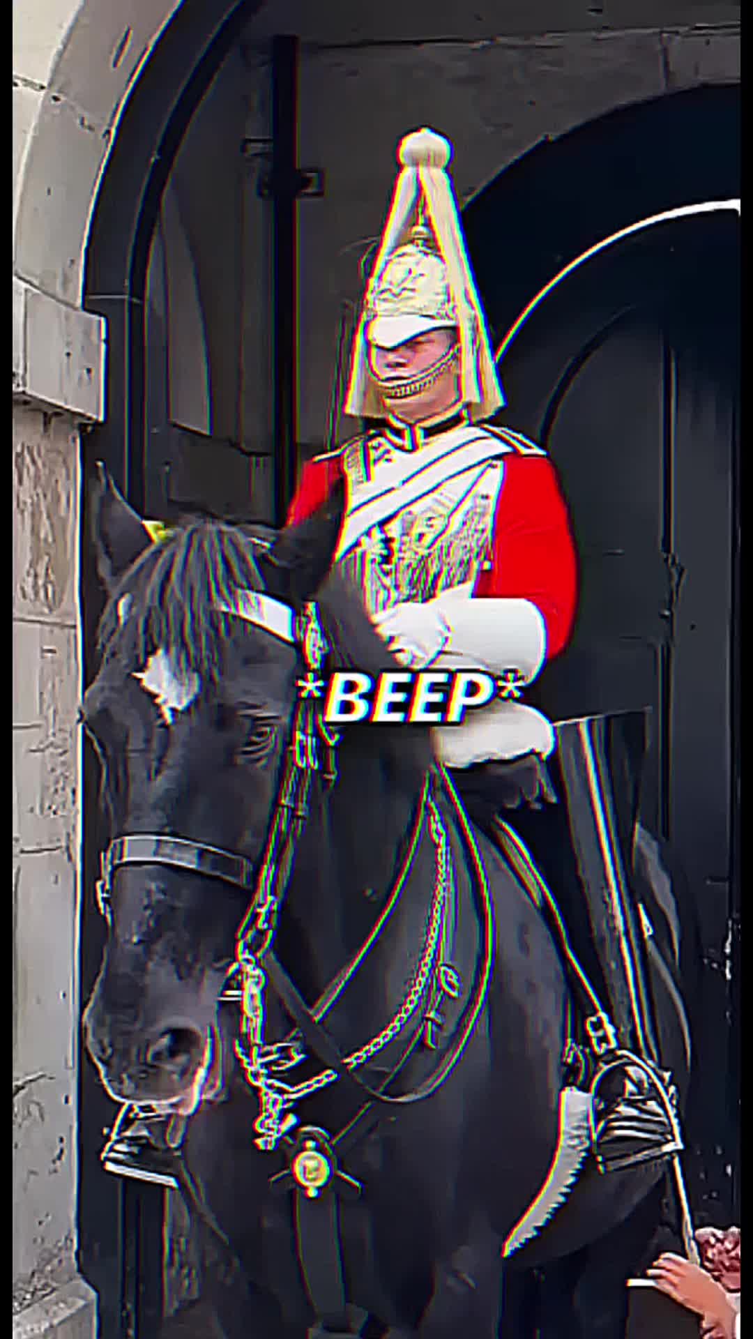 @The_Kings_Guard7