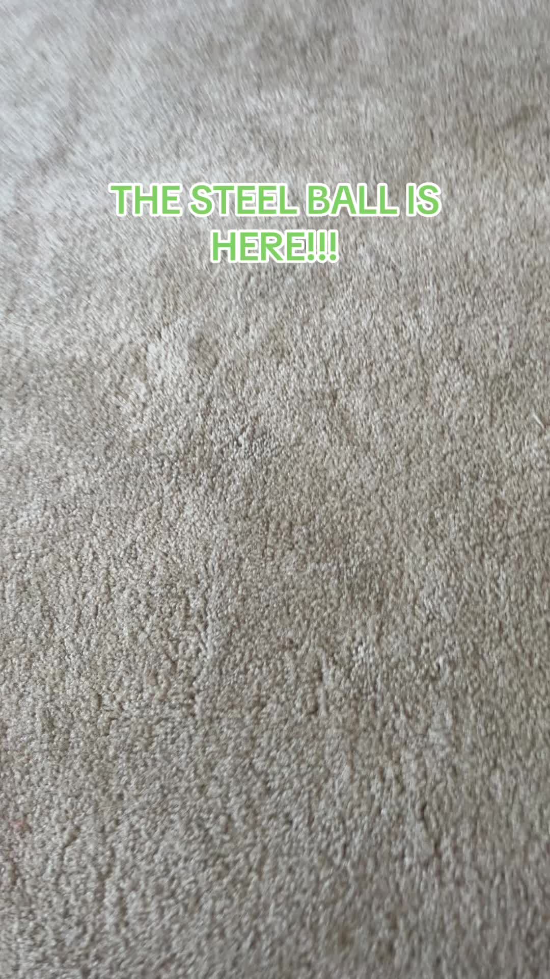 @Curly_Cat_7876