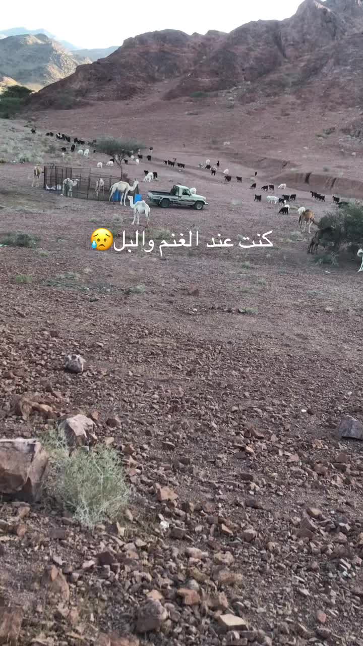 @سليمان البلوي