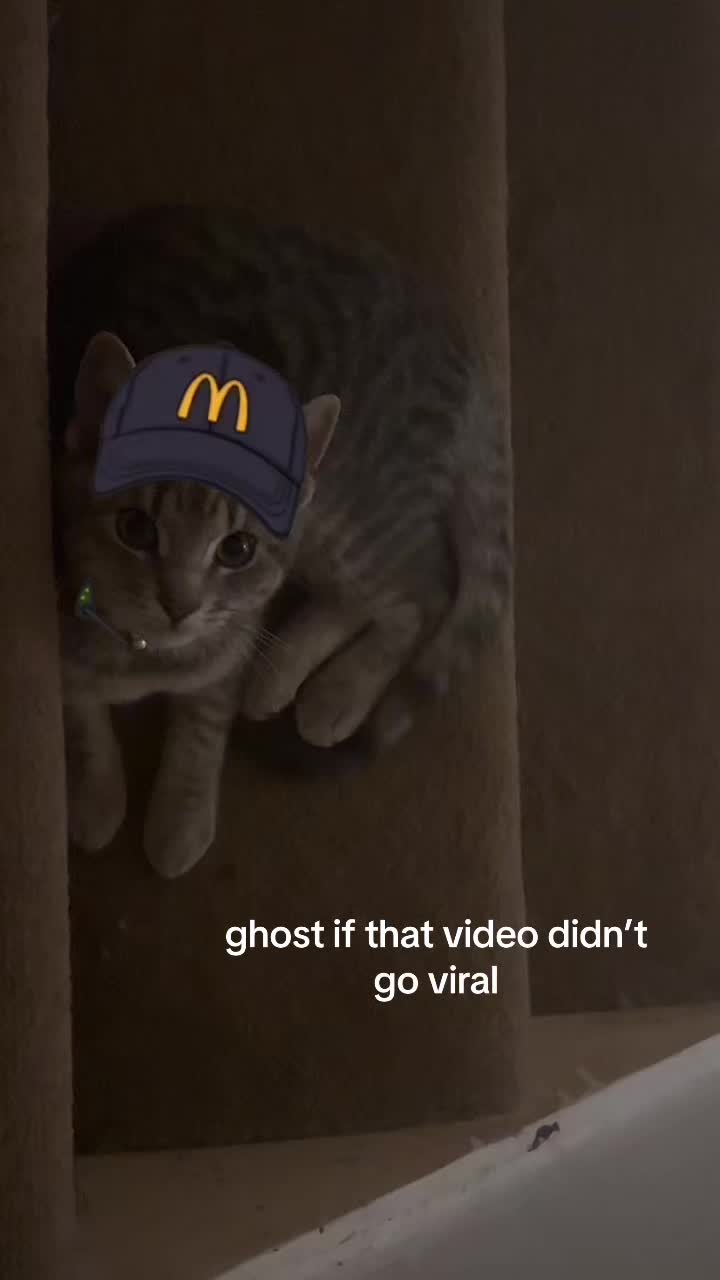 @ghost🩷