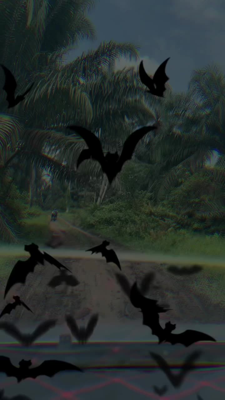 @𝒱 . 🩵🪽