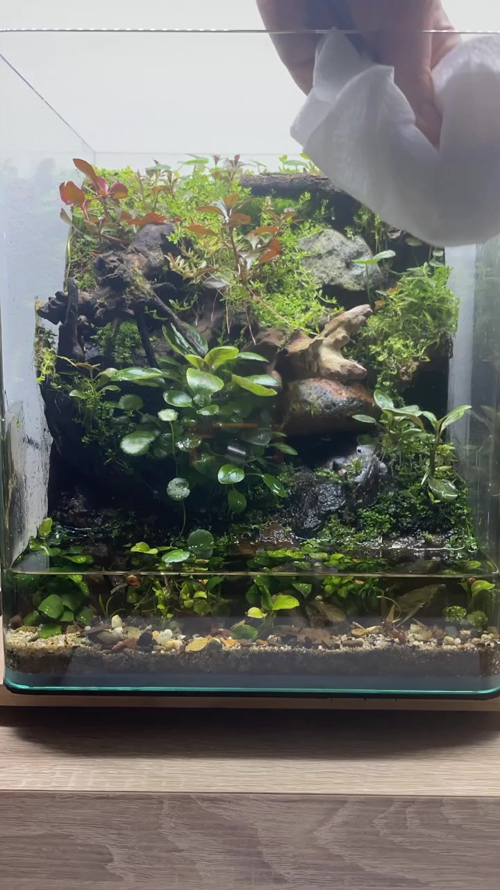 @X_vision_aquascape