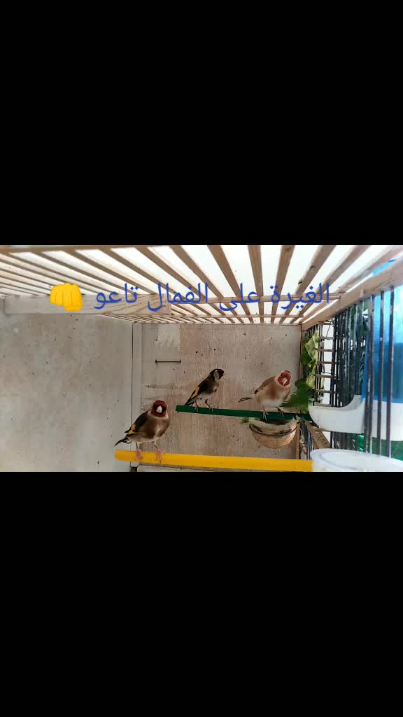 @Midou Pâr Esthesie@
