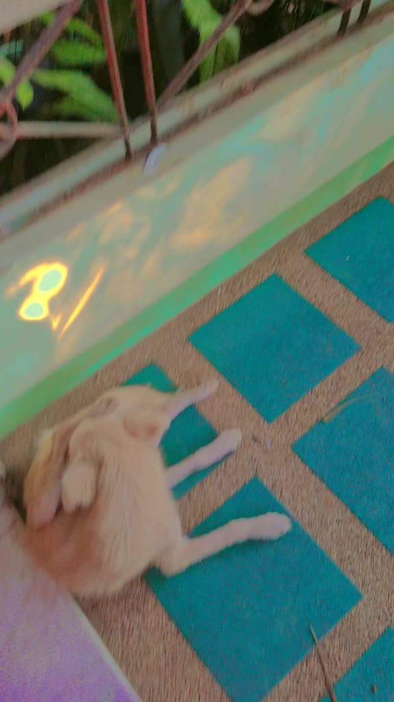 @ツJayツ