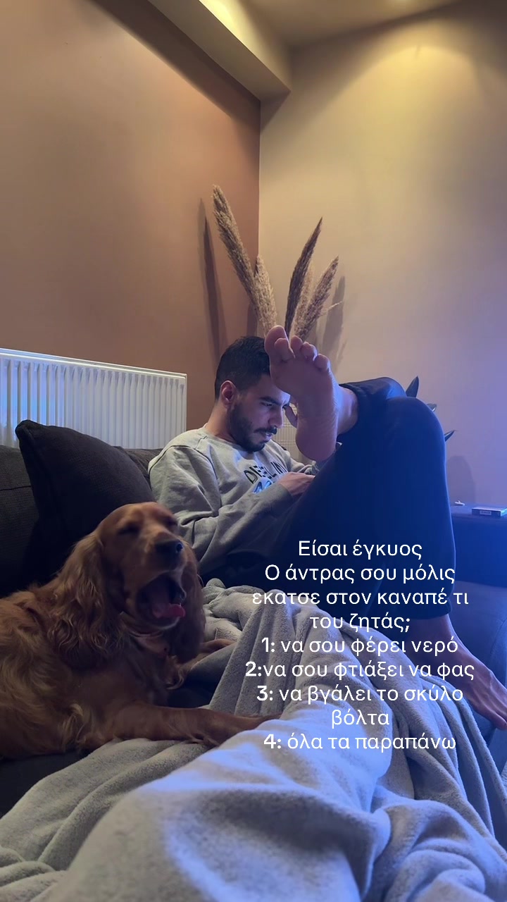 @Katerina Cheim
