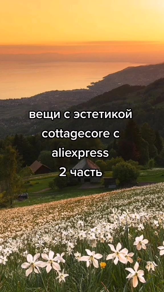 @✨уютное местечко✨