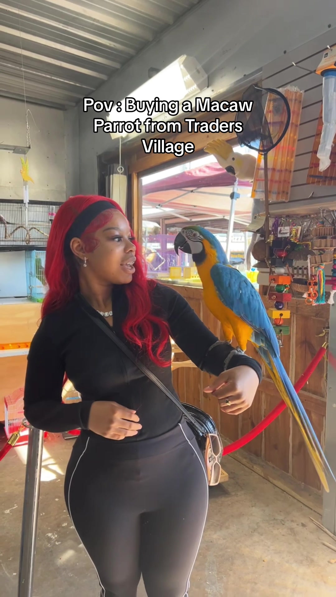 @Dasia_lovex