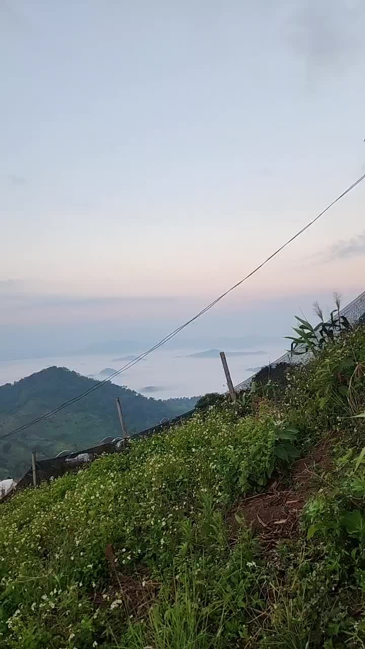 @Bos Thanaphat