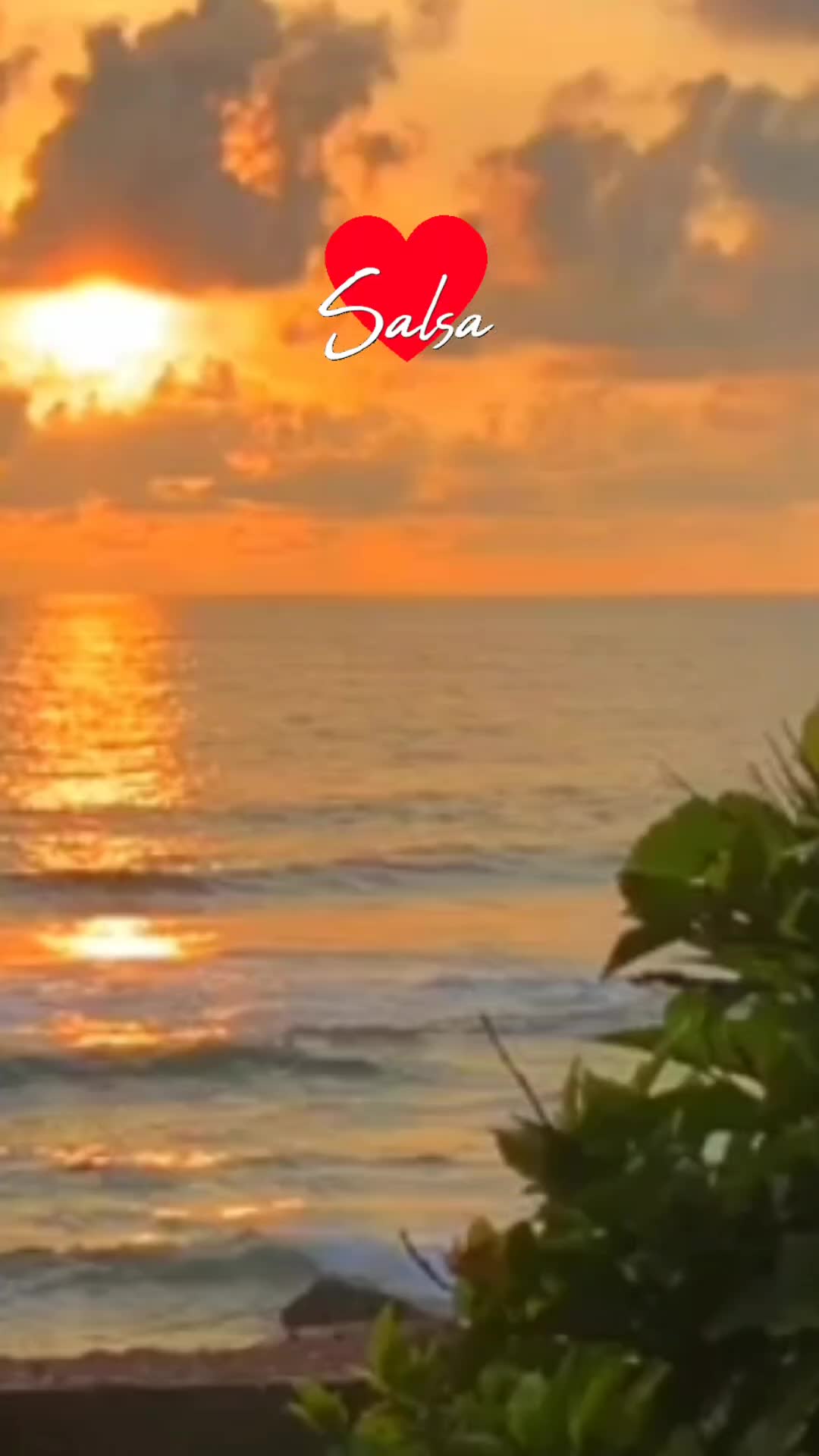 @dimelosalsa
