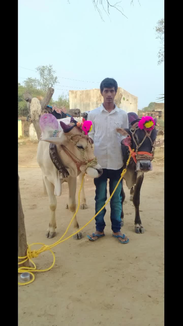 @user7147412694787