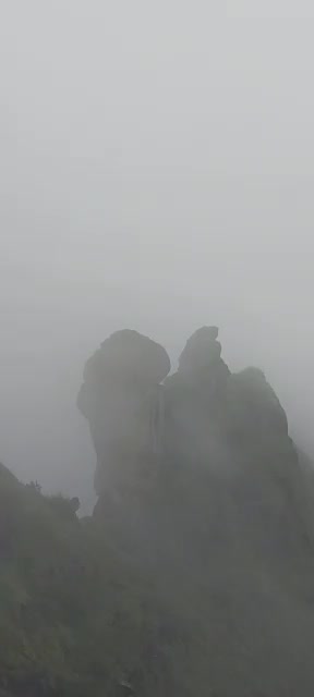 @Lekshmi Daksha Lachu