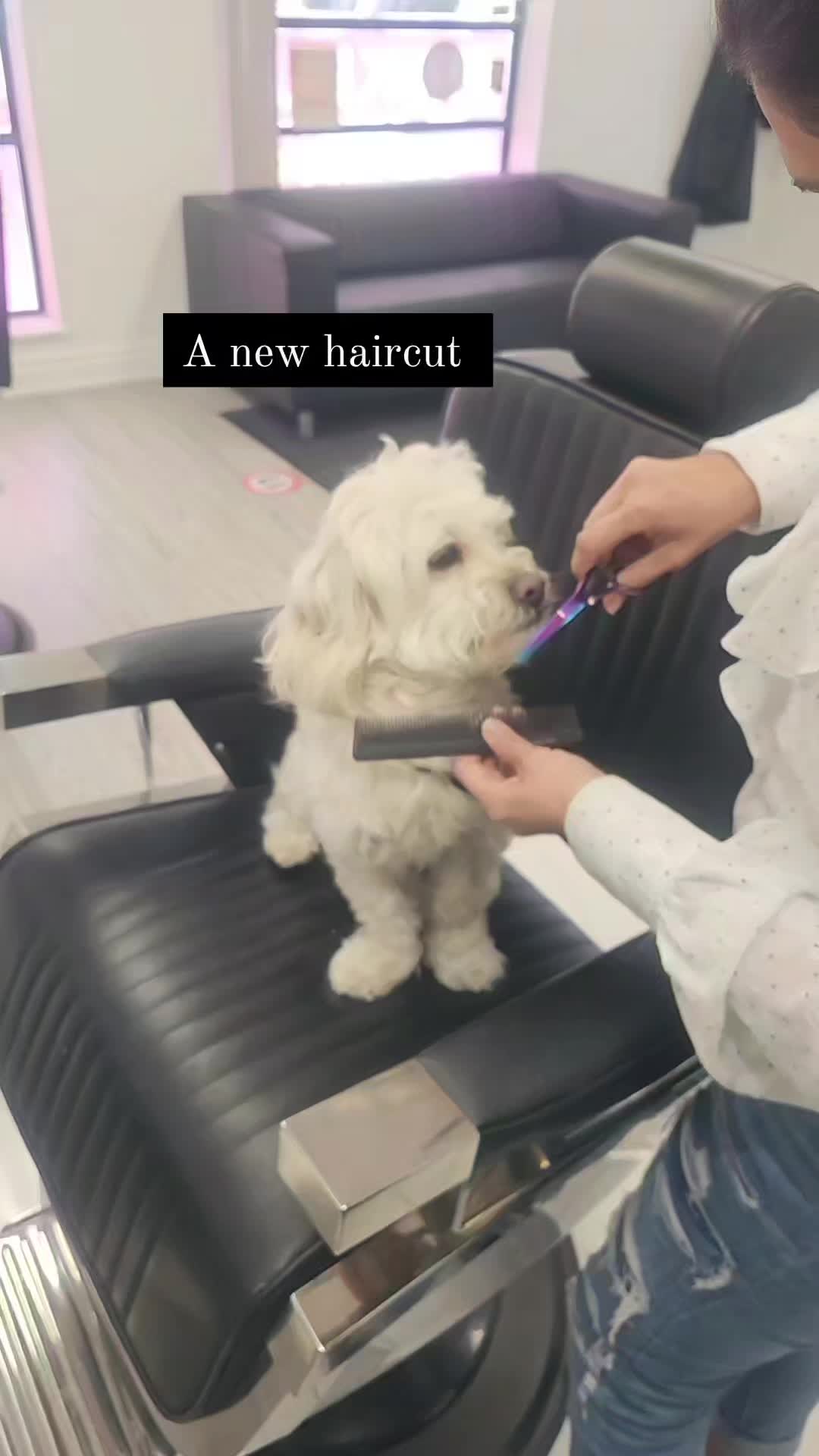 @bellasbeautyacademy