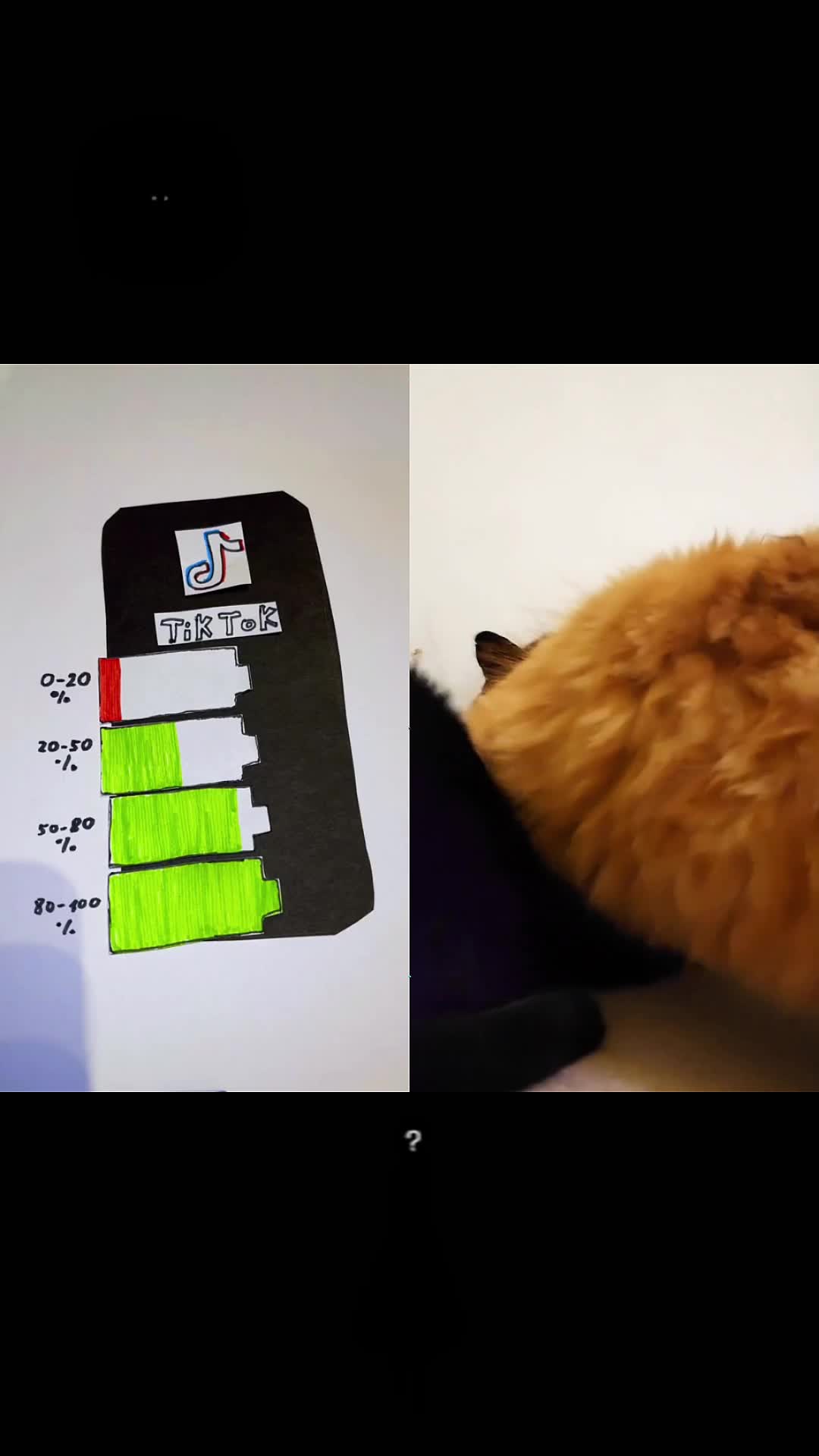 @max5yr