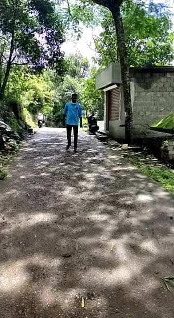 @vaava