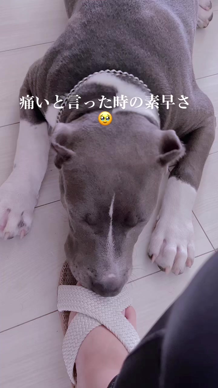 @BOSSใ ใ๐พ๐