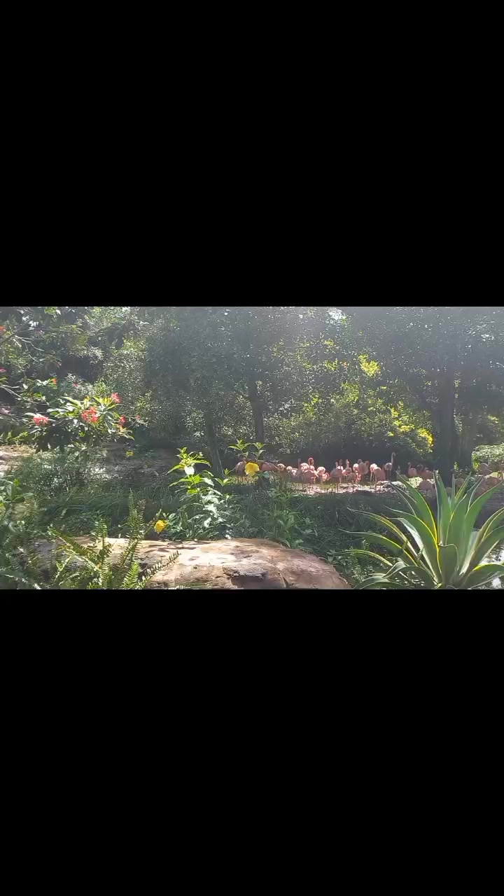 @L&ecirc; Dung