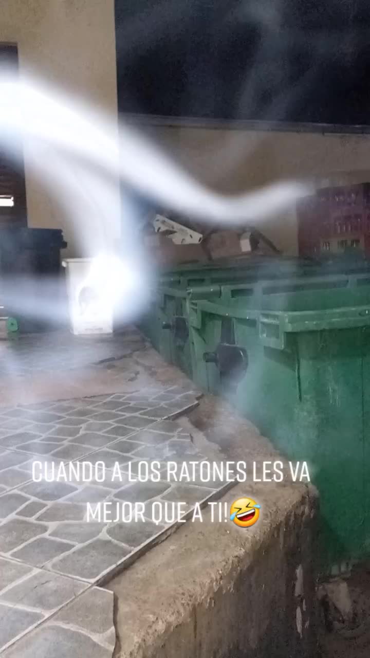 @Nieve.luu