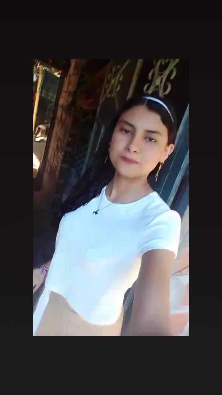 @gato herrera