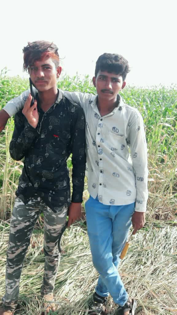 @Bharat Thakor Gaedsh