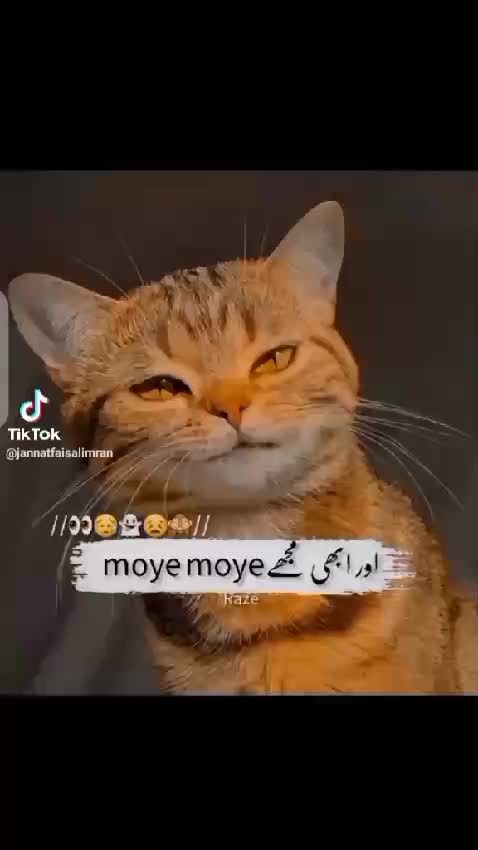@Reeham Nadeem