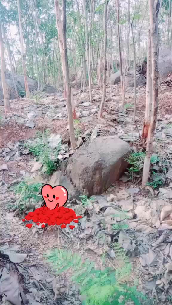 @Bhikari Nayak