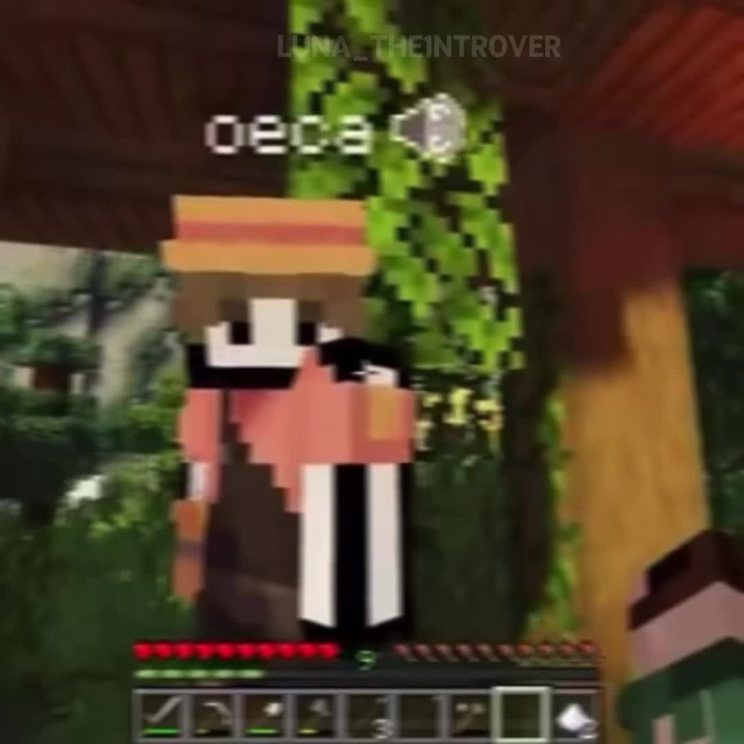 @luna1ntr0ver