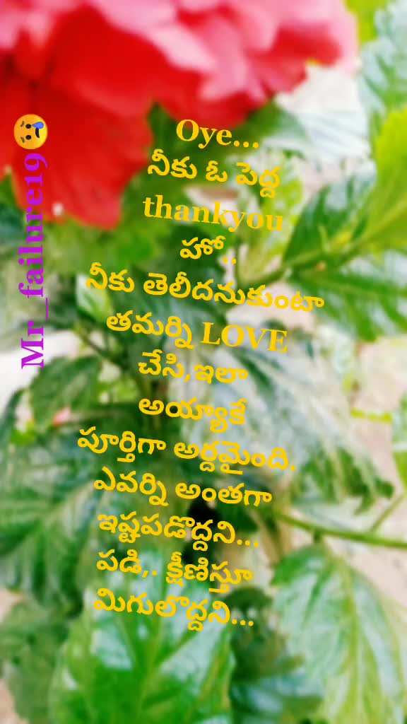 @నీ జ్ఞాపకాలే ప్రాణం$