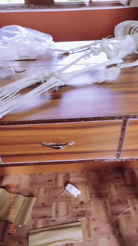 @yadavvishaa