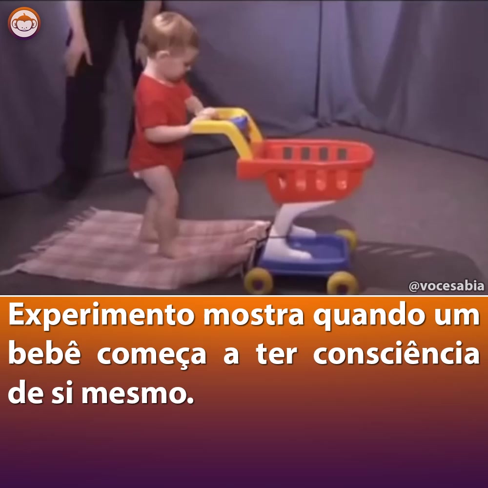 @Você Sabia?