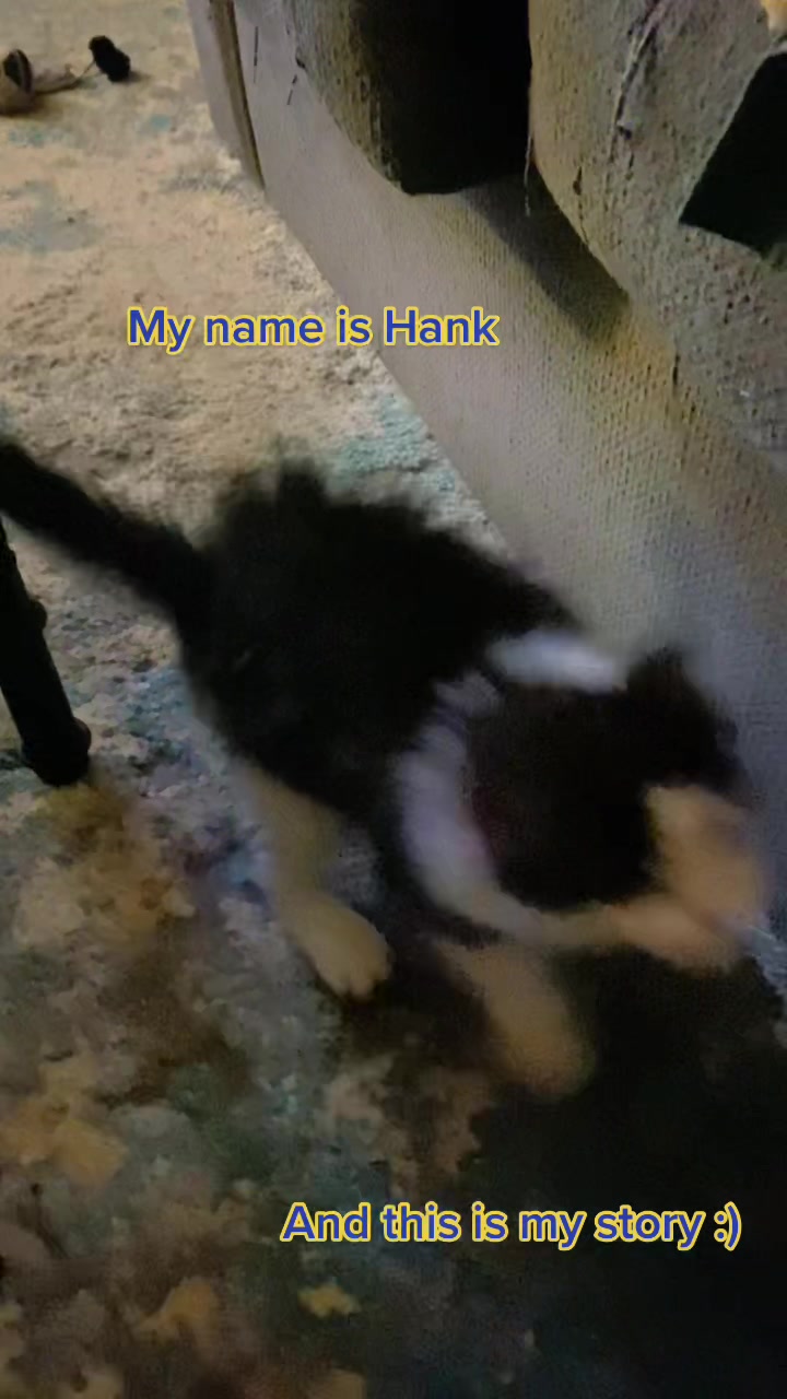 @Tilted_Hank