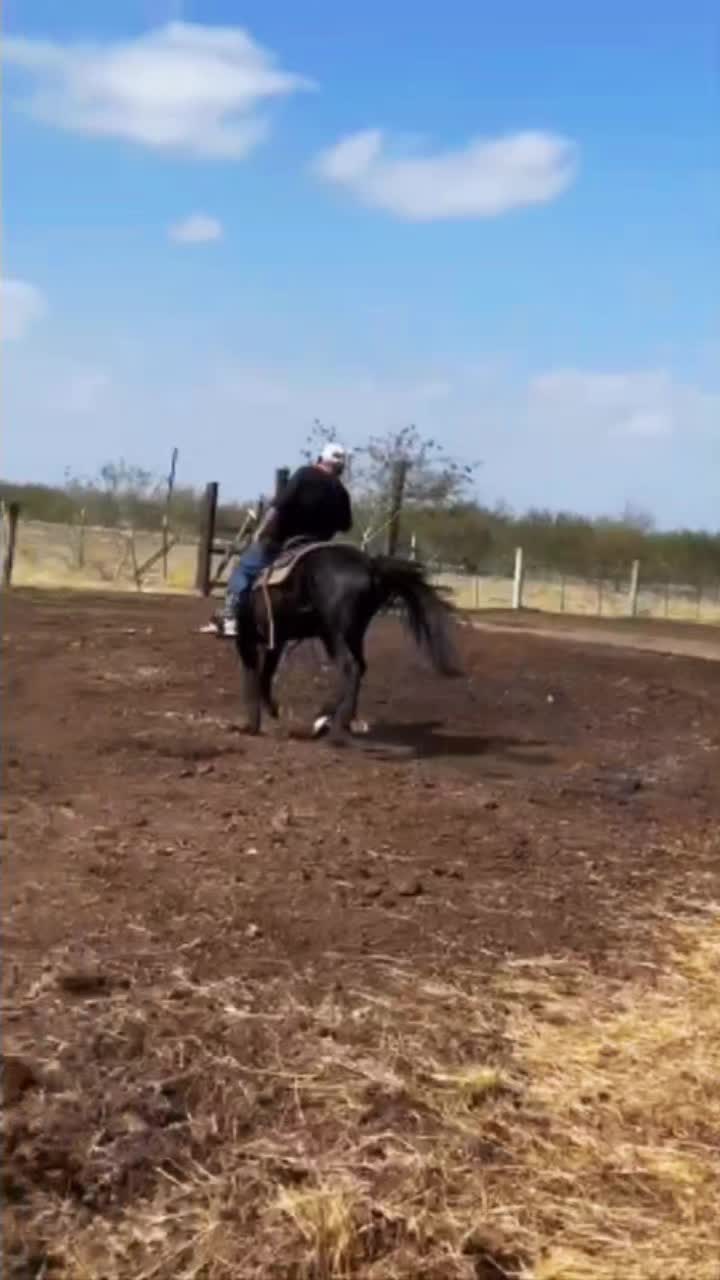 @Gallitobravo