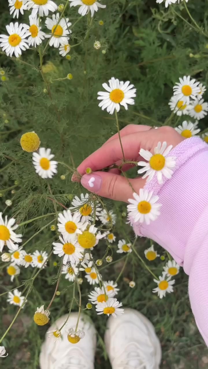 @evskaya