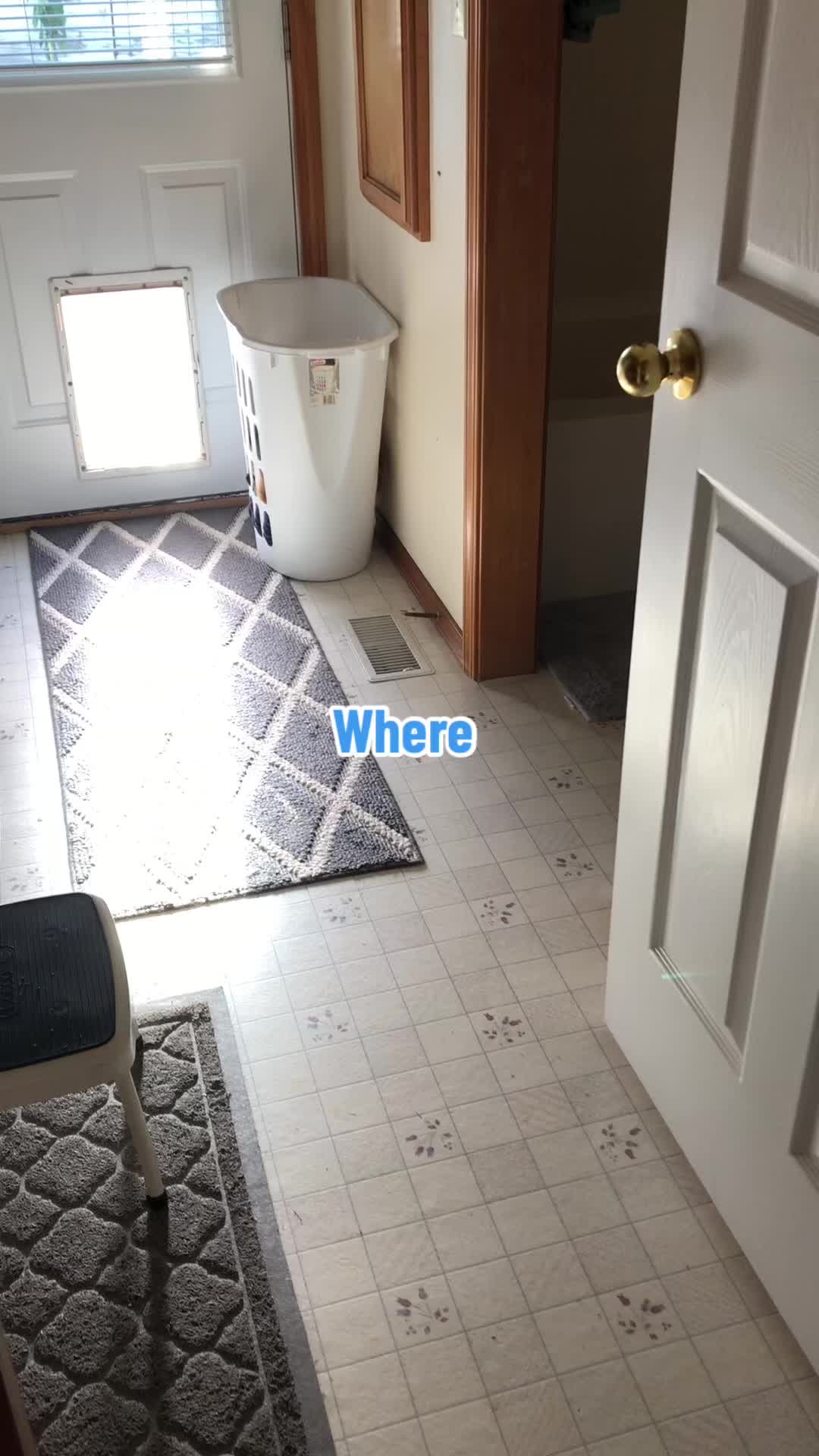 @Maymeissocool