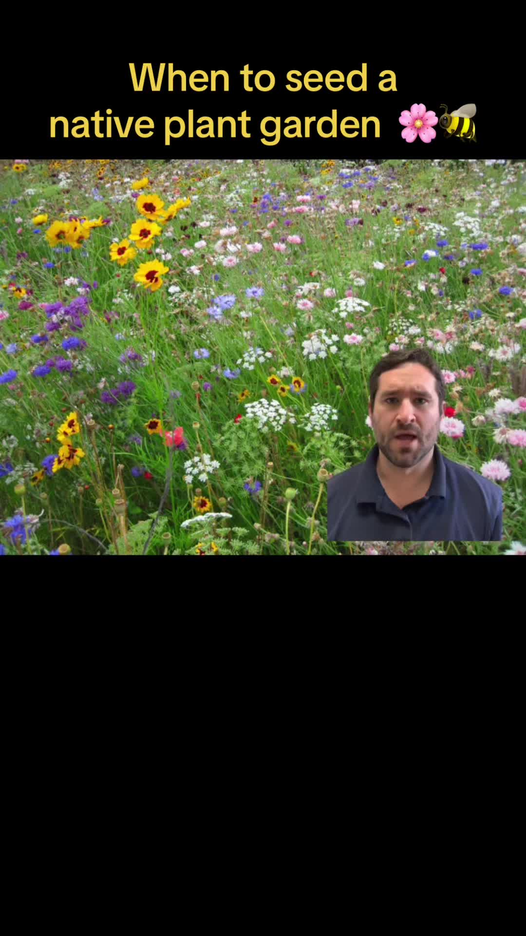 @Twincityseed