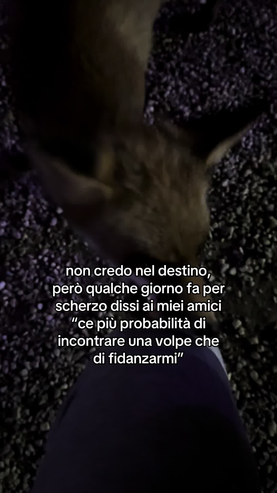 @tommasodestefano