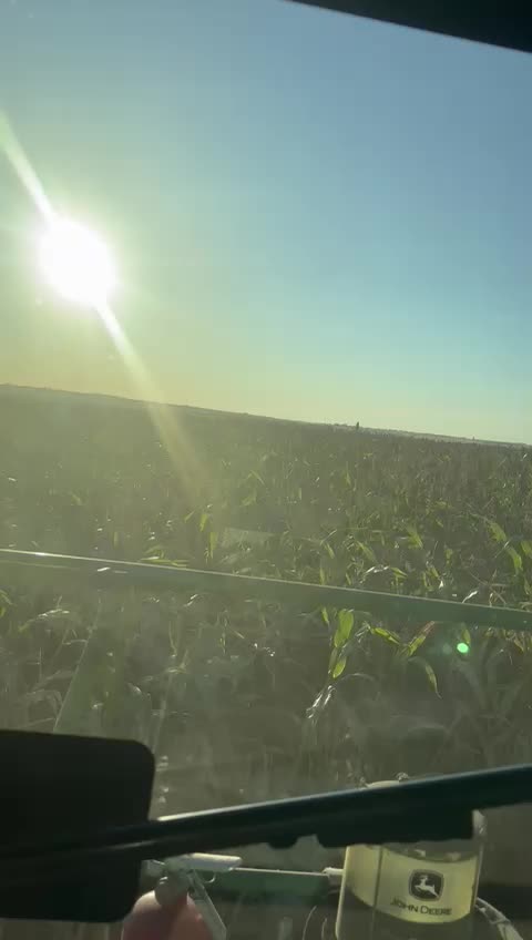@Bosvark