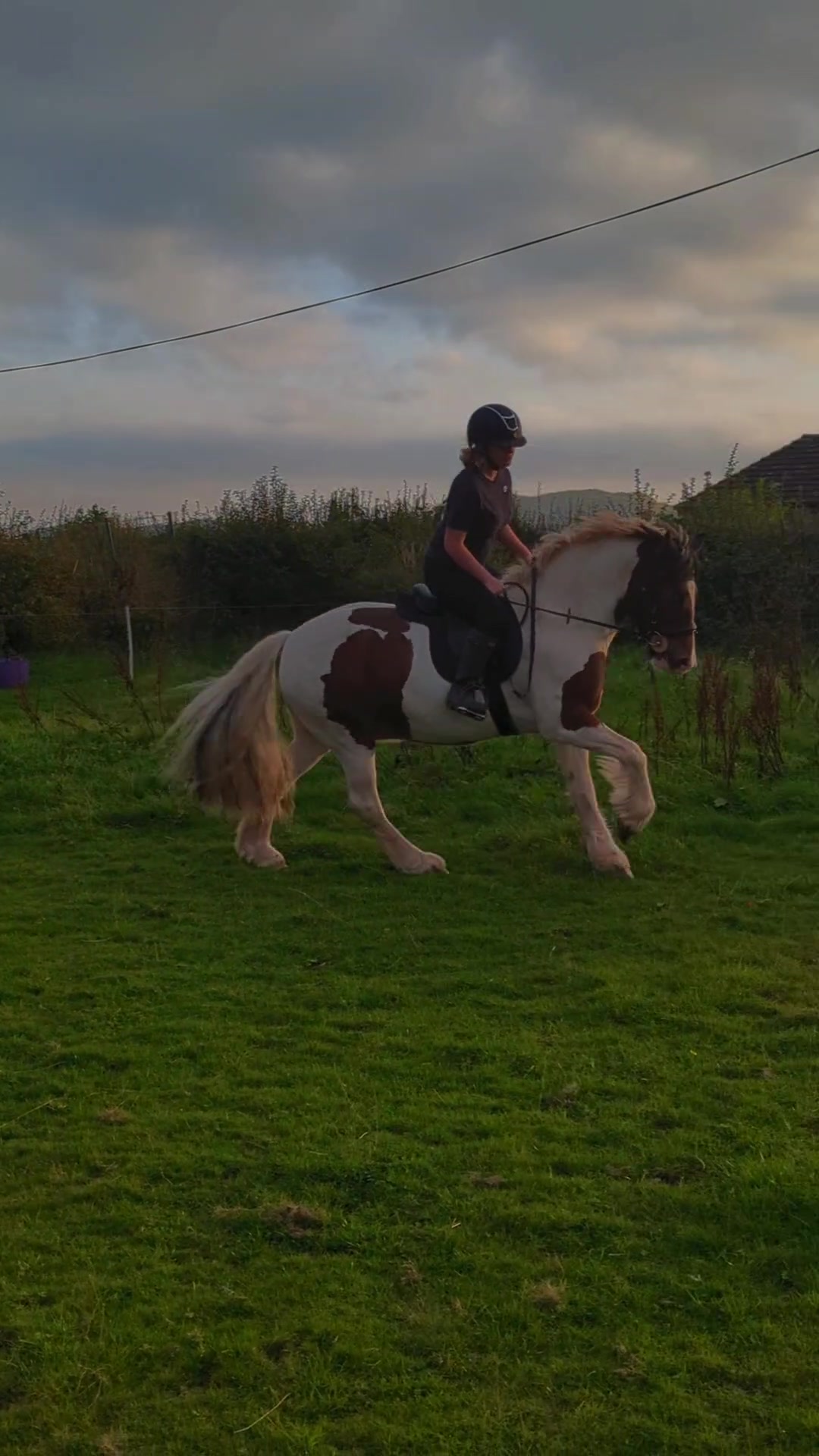 @Lilywiththecobs🐴