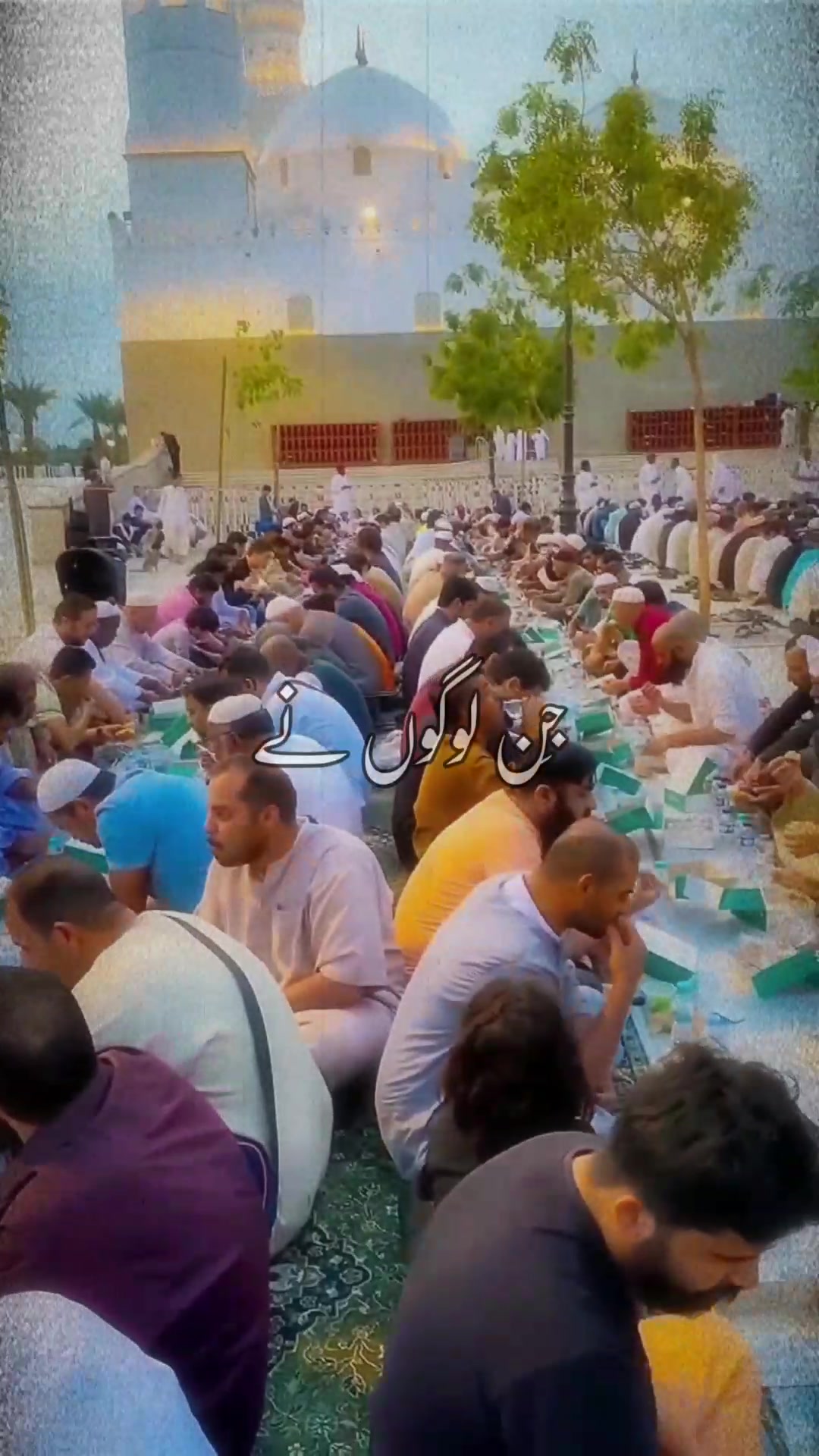 @Aicat photo & videos