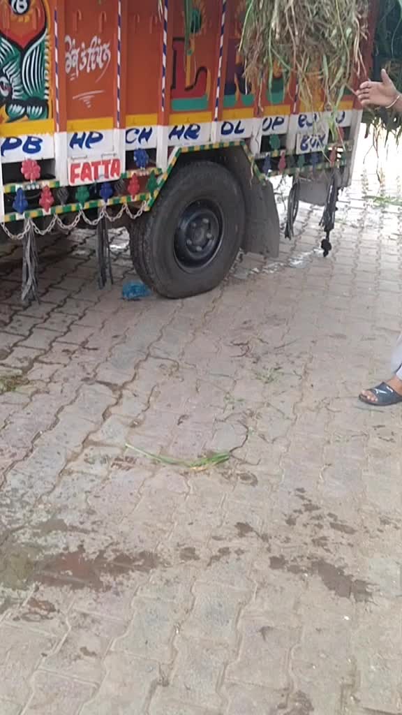 @Rinku Ghotra
