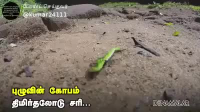 @Ammu