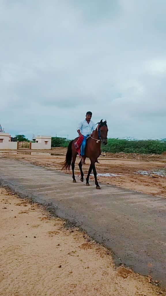@mokha Ranjitsinh