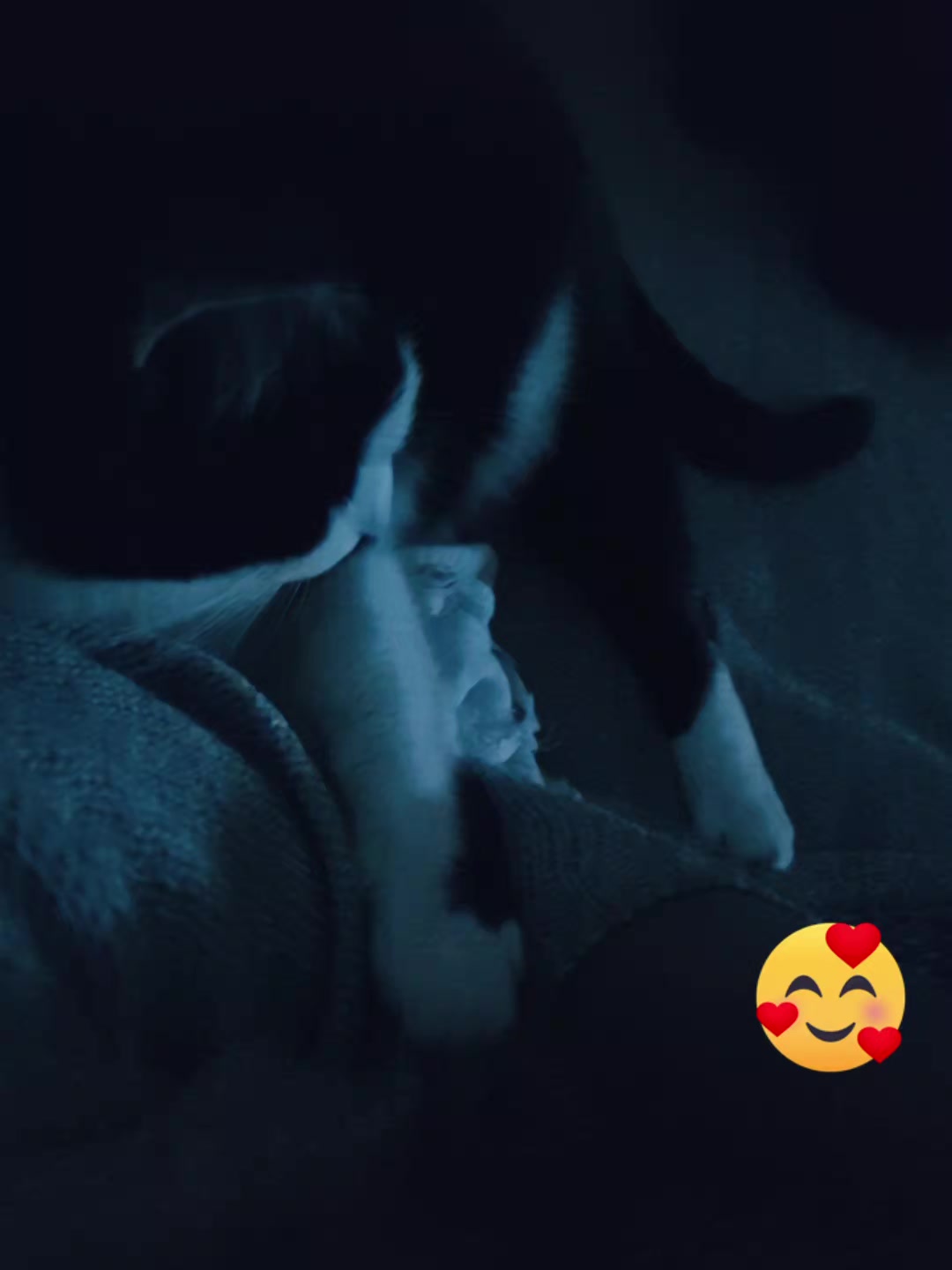 @Alexkaila09