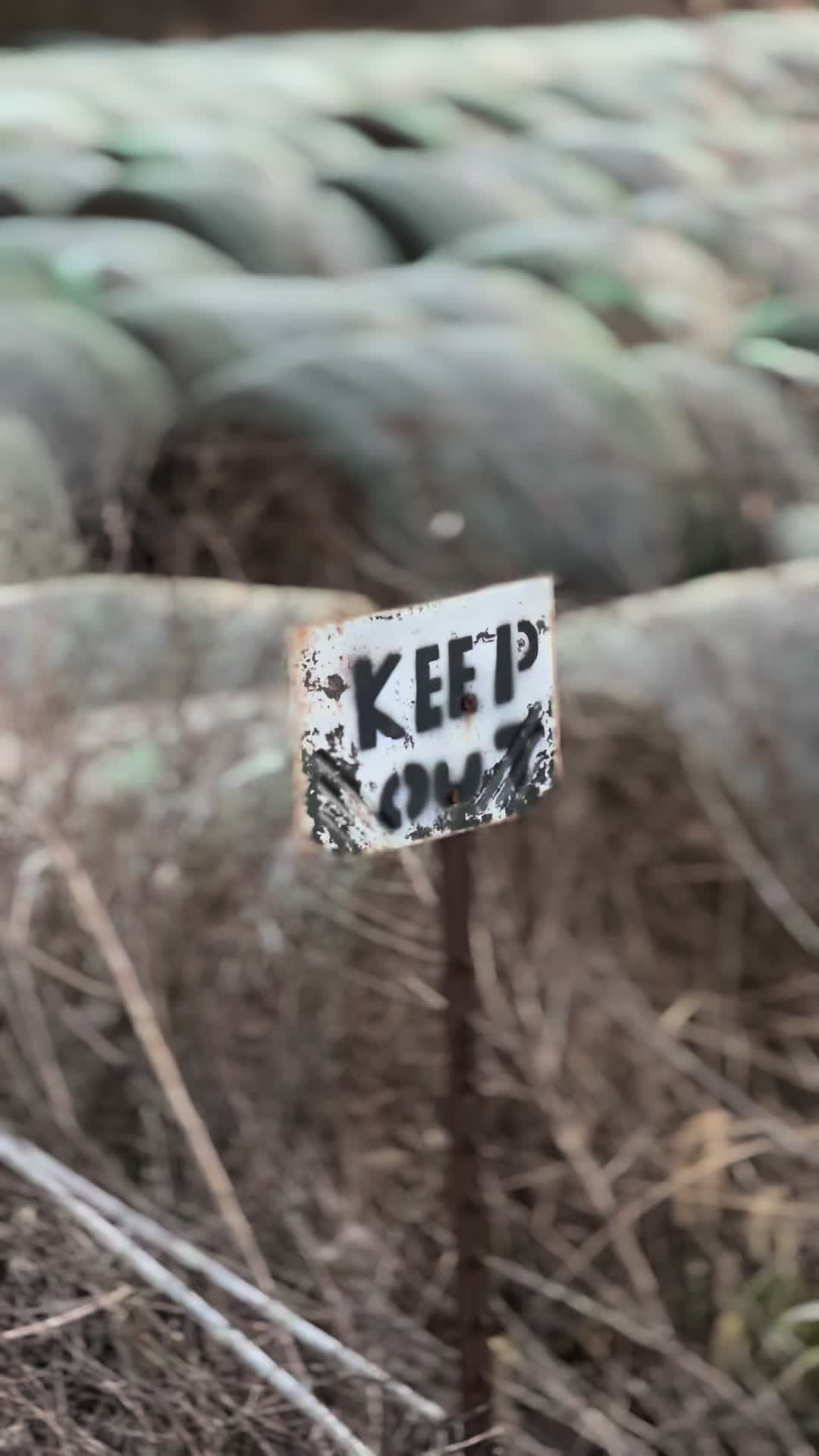 @𝑱𝑴𝒐𝒏𝒆𝒚𝑫𝒎𝒂𝒙
