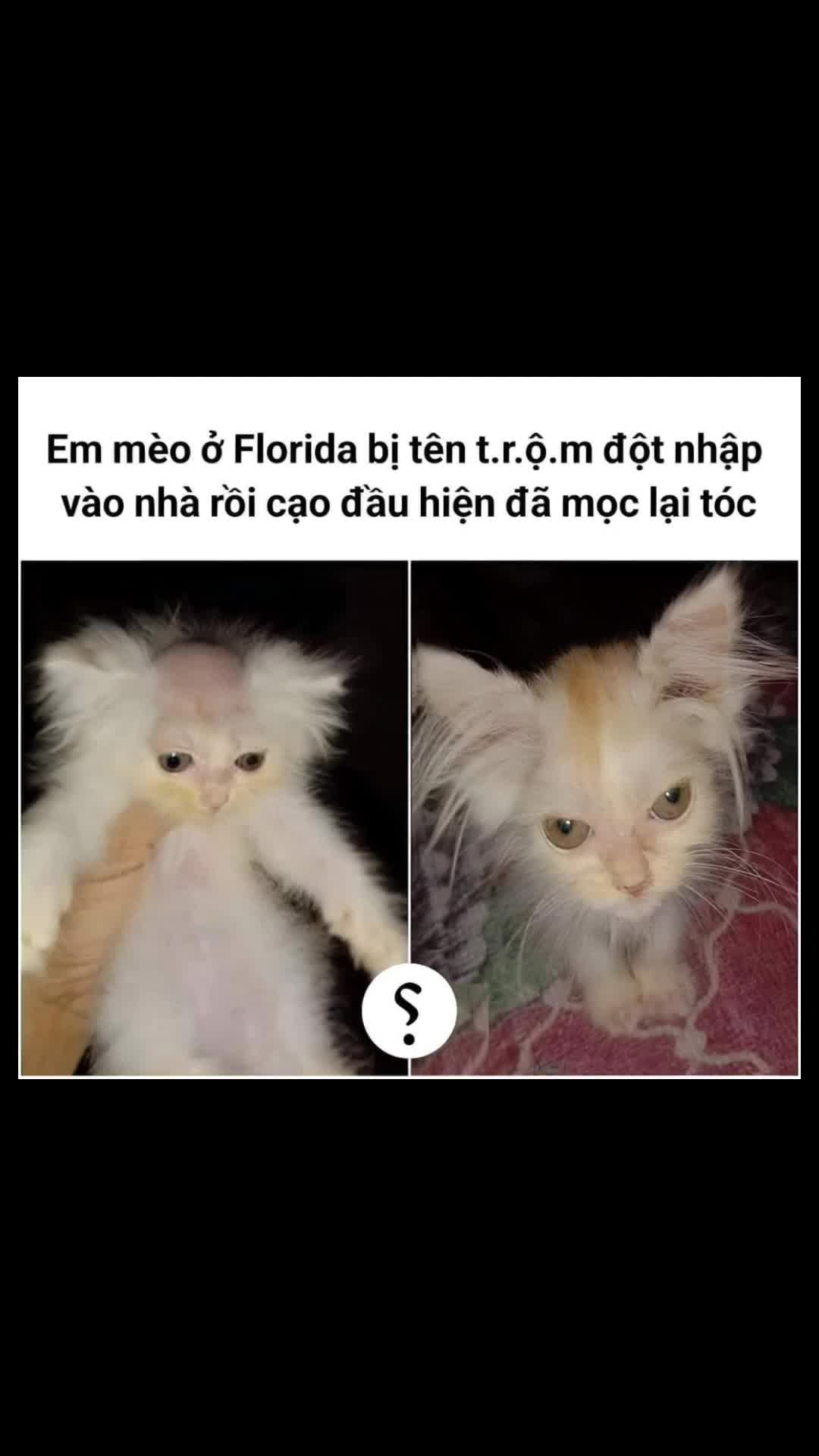 @YuMi
