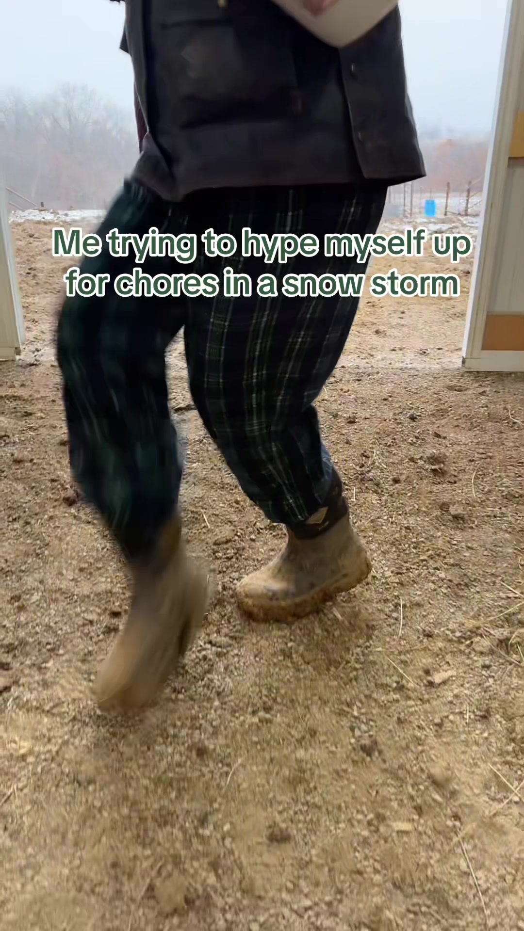 @Living Lucky Quarter Horses