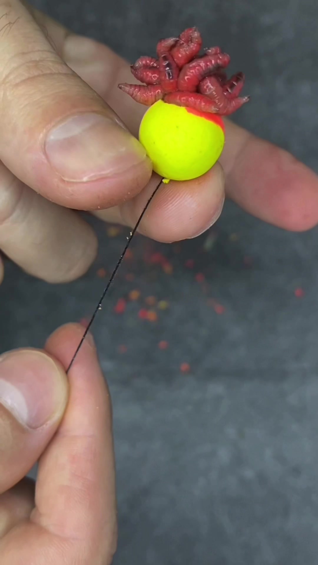 @itopFishing